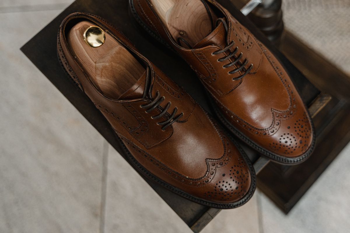 Brown brogue shoes with wingtip perforations and shoe trees
